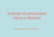 Esempi di percezione ottica e illusioni Disegni eseguiti con approssimazione…