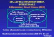 MALATTIA INFIAMMATORIA INTESTINALE Inflammatory Bowel Disease (IBD) Colite Ulcerosa Ulcerative Colitis (UC) Proctite Preoctitis Malattia di Crohn Crohns