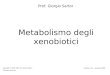 Metabolismo degli xenobiotici Prof. Giorgio Sartor Copyright © 2001-2006 by Giorgio Sartor. All rights reserved. Versione 3.1 - gennaio 2006