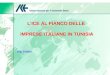L'ICE AL FIANCO DELLE IMPRESE ITALIANE IN TUNISIA ICE TUNISI
