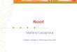 Root Stefano Lacaprara (slides rubate a Tommaso Boccali)