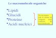 Le macromolecole organiche Lipidi Glucidi Proteine Acidi nucleici Tecnicamente solo le ultime tre categorie sono costituite da macromolecole