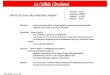 Clin Med Card –FI Le Cellule Circolanti TIPI DI CELLULE CIRCOLANTI NEL SANGUE: Eritrociti (G.R.) Granulociti (PMN) Linfociti (LINF) Piastrine (PLT) Eritrociti: