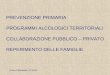 PREVENZIONE PRIMARIA PROGRAMMI ALCOLOGICI TERRITORIALI COLLABORAZIONE PUBBLICO – PRIVATO REPERIMENTO DELLE FAMIGLIE Ennio Palmesino 12-2010