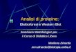 Analisi di proteine: Elettroforesi e Western Blot Seminario Metodologico per il Corso di Didattica Libera Marilena Dinardo mm.dinardo@biologia.uniba.it