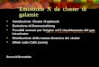 Emissione X da cluster di galassie Introduzione: Cluster di galassie Emissione di Bremsstrahlung Possibili scenari per l'origine ed il riscaldamento del