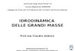 Prof.ssa Claudia Adduce adduce@uniroma3.it  IDRODINAMICA DELLE GRANDI MASSE Università degli Studi Roma Tre Laurea