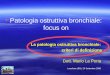 Patologia ostruttiva bronchiale: focus on Leonforte (EN), 20 Settembre 2008 La patologia ostruttiva bronchiale: criteri di definizione Dott. Mario La Porta