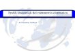 Profili sostanziali del commercio elettronico Profili sostanziali del commercio elettronico di Vincenzo Tedesco