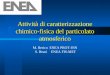 Attività di caratterizzazione chimico-fisica del particolato atmosferico M. Berico ENEA PROT-INN S. Bruni ENEA FIS-MET