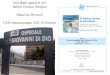 Uso degli oppiacei nel dolore cronico benigno Maurizio Benucci UOS Reumatologia ASL 10 Firenze
