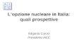 Lopzione nucleare in Italia: quali prospettive Edgardo Curcio Presidente AIEE