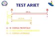 A - B CORSA FRONTALE A - D RECUPERO CAMMINANDO A - C CORSA LATERALE TEST ARIET