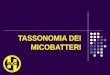 TASSONOMIA DEI MICOBATTERI classificazione regno: Bacteria tipo: Actinobacteria classe: Actibobacteridae ordine: Actinomycetales famiglia: Corynebacteriaceae