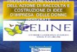 PROGETTAZIONE ESECUTIVA DELLAZIONE DI RACCOLTA E COSTRUZIONE DI IDEE DIMPRESA DELLE DONNE IMMIGRATE Dott. Massimo Renzetti