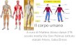 Il corpo umano A cura di Matteo Aiana classe 2ªB scuola media Via Don Palmas istituto statale Mons. Saba Elmas