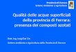 Qualità delle acque superficiali della provincia di Ferrara: presenza dei composti azotati Dott. Ing. Luigi Dal Cin Settore Ambiente e Agricoltura della