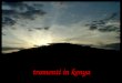 Tramonti in kenya. lamu lago challa amboseli