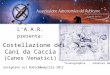 L' A.A.R. presenta: La Costellazione dei Cani da Caccia (Canes Venatici) Savignano sul Rubicone16 aprile 2012 Uranographia - Johannes Hevelius