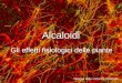 Alcaloidi Neuroni della corteccia cerebrale Gli effetti fisiologici delle piante
