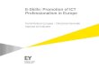 E-Skills: Promotion of ICT Professionalism in Europe Commissione Europea – Direzione Generale Impresa ed Industria