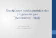 Disciplina e tutela giuridica dei programmi per elaboratore - SIAE Avv. Ramona Zilli Udine, 13 maggio 2014