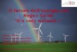 Il futuro dell’energia nel Regno Unito, it’s only natural… Il futuro dell’energia nel Regno Unito “it’s only natural…” Michael Peasland British Consulate