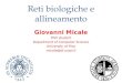 Reti biologiche e allineamento Giovanni Micale PhD student Department of Computer Science University of Pisa micale@di.unipi.it