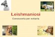Leishmaniosi Conoscerla per evitarla. Che cos’è la Leishmania ? La leishmania (L. Infantum) è un parassita endocellulare di origine tropicale diffuso