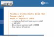 Analisi statistiche Enti Non Commerciali Anno d’imposta 2004 -La natura degli enti non commerciali -Le attività -Gli enti non commerciali e l’IRES -Una