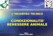 1°INCONTRO TECNICO CONDIZIONALITA’ BENESSERE ANIMALE ARAV Padova, 07.09.2005