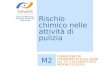 Rischio chimico nelle attività di pulizia SiRVeSS Sistema di Riferimento Veneto per la Sicurezza nelle Scuole M2 FORMAZIONE DEI LAVORATORI EX D.Lgs. 81/08
