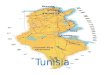 Tunisia. 1.L’indipendenza  Ottenne l’indipendenza dal protettorato francese (1881) nel 1956  Il personaggio chiave del nazionalismo tunisino fu Habib