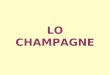 LO CHAMPAGNE. -luca farinelli - La regione della Champagne è siturata nella parte nord-est della Francia. La denominazione Champagne è riservata solo