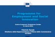Programme for Employment and Social Innovation Centro Congressi, Fondazione Cariplo 14 marzo 2014 Fabrizio Spada Direttore della Rappresentanza a Milano