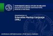 Extensible Markup Language (XML) Presentazione 1.5 Architettura dell'informazione | Prof. Luca A. Ludovico