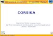 Www.consorzio-cometa.it FESR Consorzio COMETA - Progetto PI2S2 CORSIKA Domenico Torresi Consorzio Cometa 1st First International Grid School for Industrial