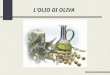 L’OLIO DI OLIVA. L'Olivo è la pianta tipica del Mediterraneo, espressione del clima, della natura e della storia millenaria di questa terra. Secondo la