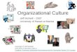 McNeill (2007) Hofstede's Organizational Culture Dimensions
