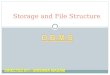 storage & file strucure in dbms