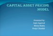 Financial Mgt. - Capital Asset Pricing Model
