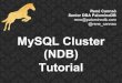 Ramp-Tutorial for MYSQL Cluster - Scaling with Continuous Availability