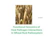 Functional Genomics of Plant Pathogen interactions in Wheat Rust Pathosystem