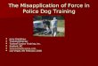 The misapplication of force in police dog training