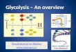 Glycolysis- An over view