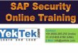 What is sap security