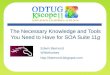 ODTUG The Necessary Knowledge and Tools You Need to Have for SOA Suite 11g