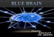 Blue brain by rashmi gowri