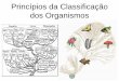 Aula 09   princípios da classificação dos organismos -  origem da vida e diversidade dos seres vivos - ufabc