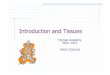 Lecture presentation-11790 [compatibility mode]